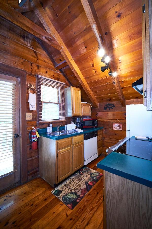 Gatlinburg Area Hottub Cabin - Ladyslipper Sevierville Exteriér fotografie