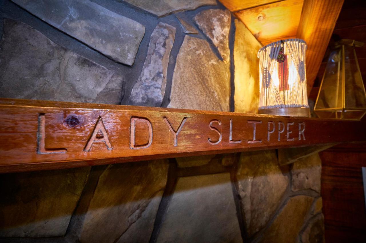 Gatlinburg Area Hottub Cabin - Ladyslipper Sevierville Exteriér fotografie